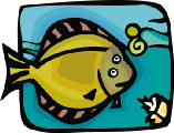 free animals clipart images pictures