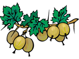 nature clipart