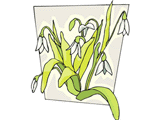 nature clipart