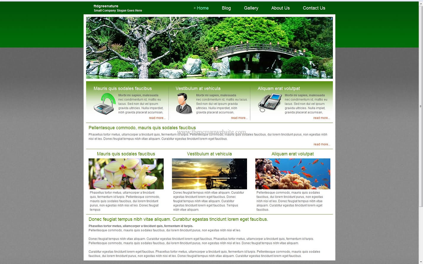 Ftdgreenature css template