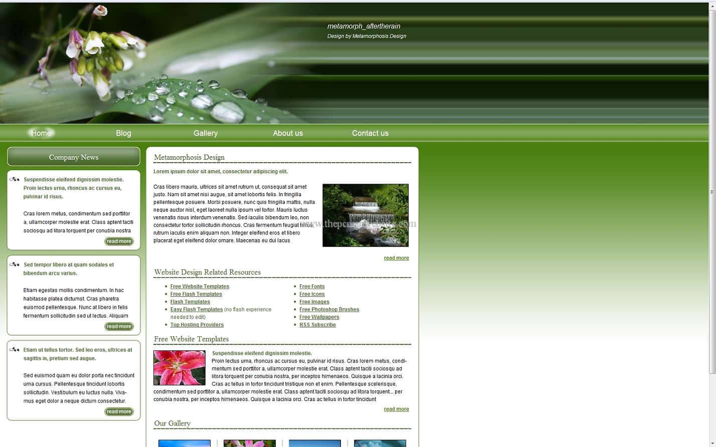 Metamorph Aftertherain css template