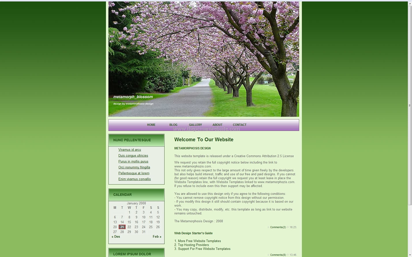 Metamorph Blossom css template