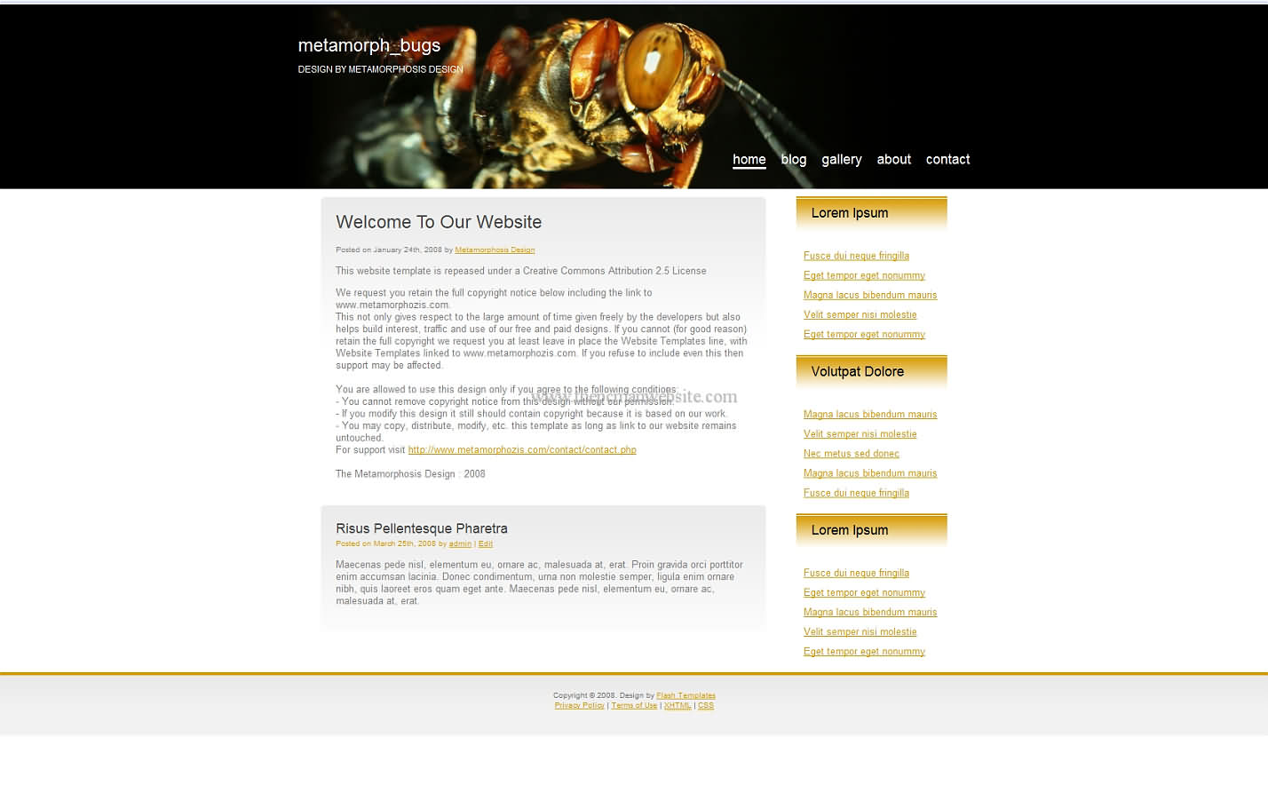 Metamorph Bugs css template