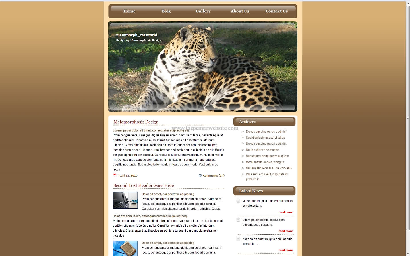 Metamorph Catsworld css template