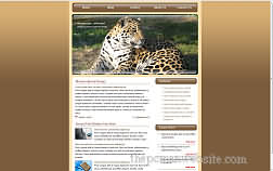 metamorph catsworld template