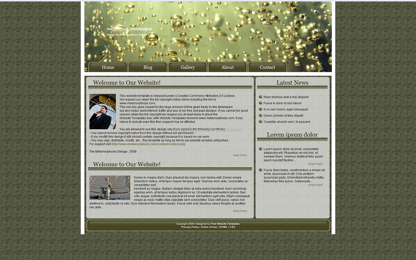 Metamorph Champagne css template