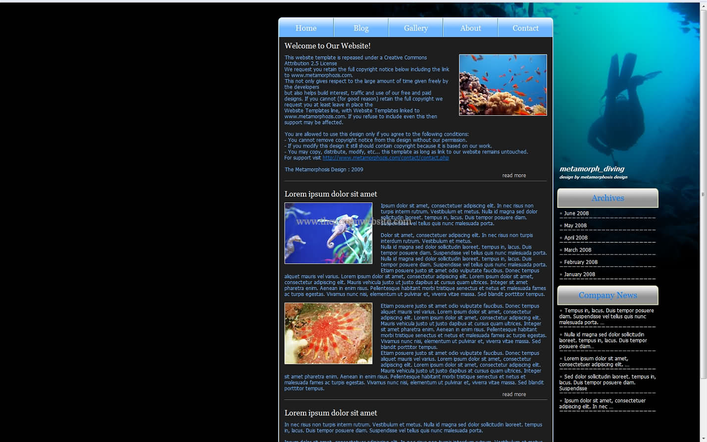 Metamorph Diving css template