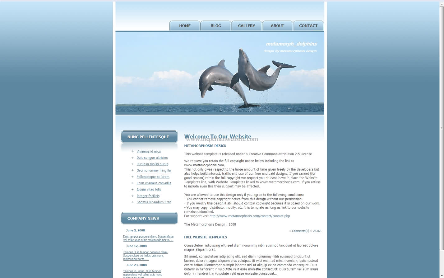 Metamorph Dolphins css template