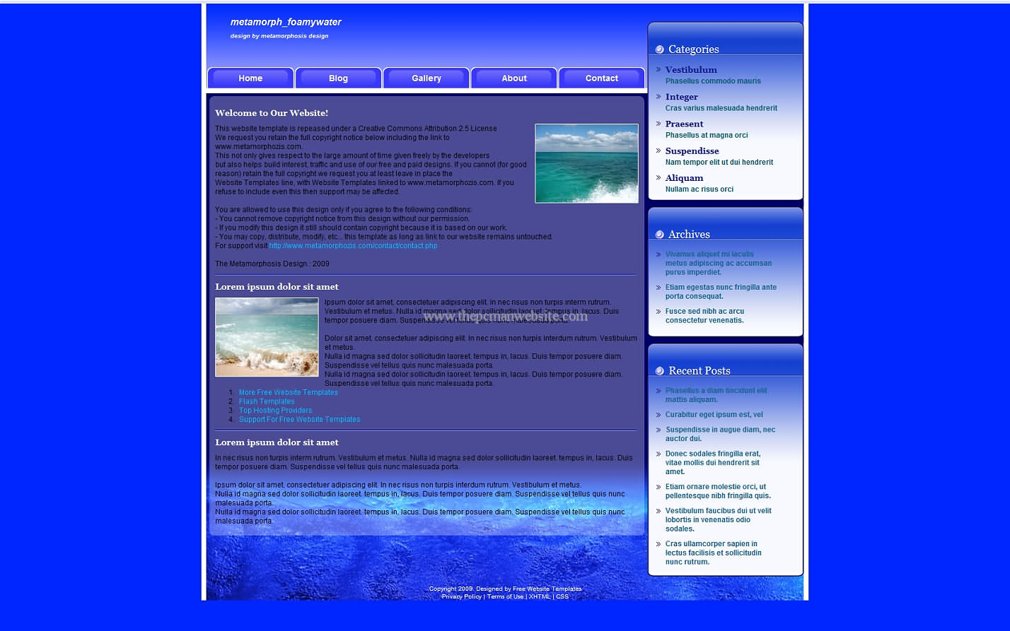 Metamorph Foamywater css template