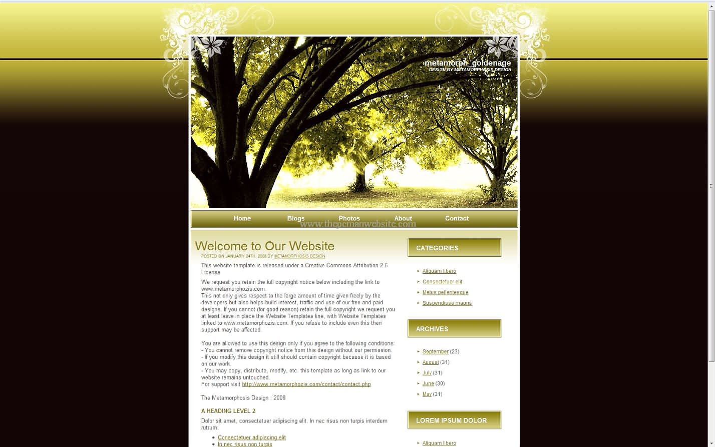 Metamorph Goldenage css template