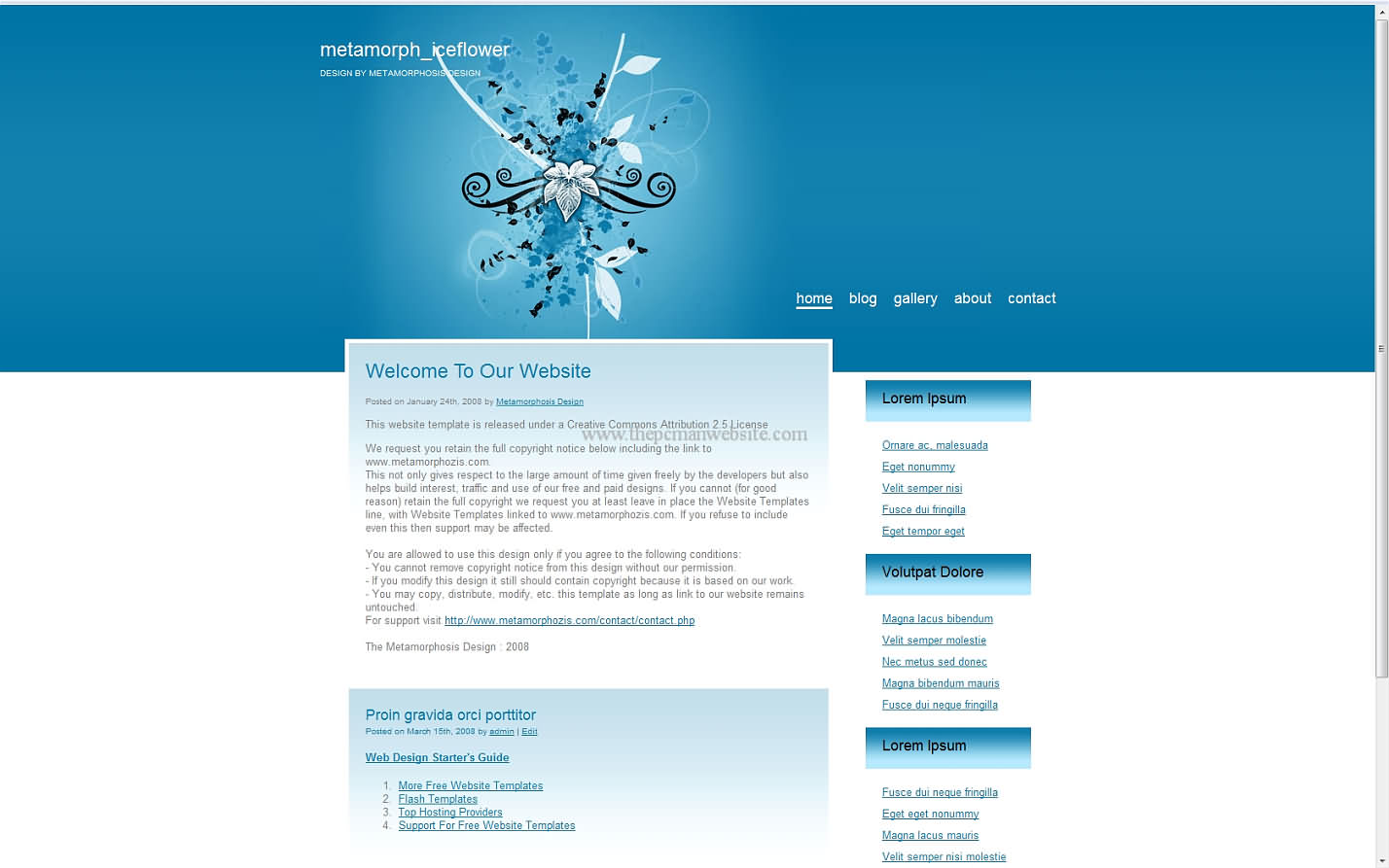 Metamorph Iceflower css template