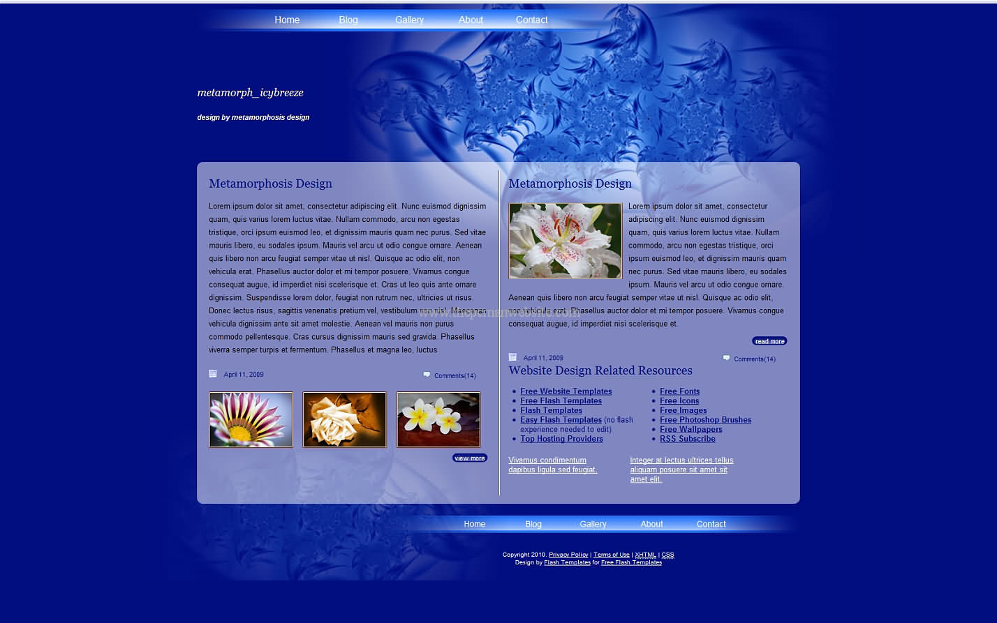 Metamorph Iceybreeze css template