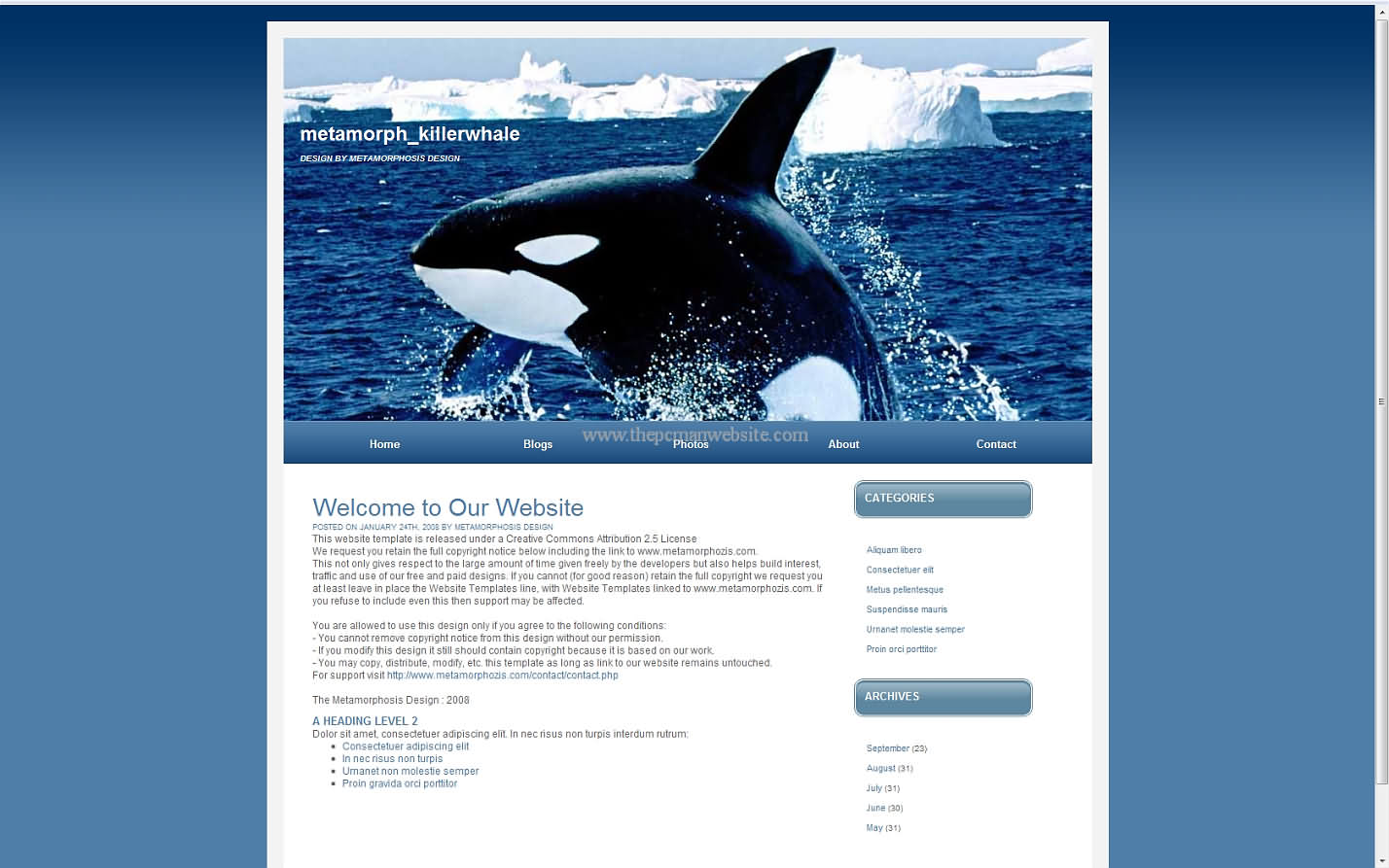 Metamorph Killerwhale css template