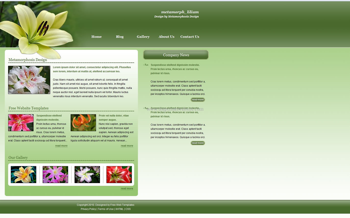 Metamorph Lilium css template