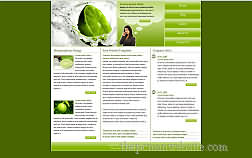 metamorph lime template