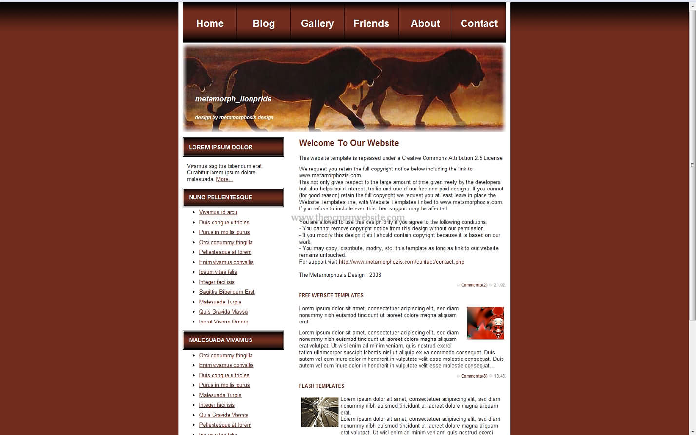 Metamorph Lionpride css template