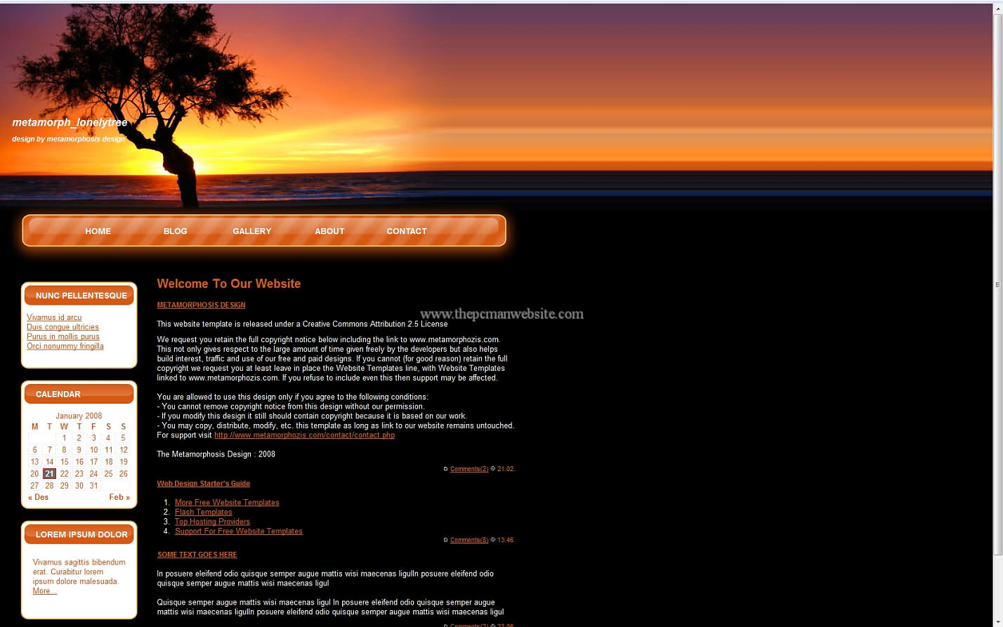 Metamorph Lonelytree css template