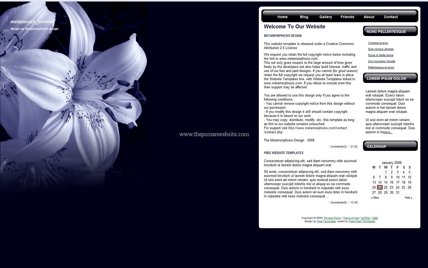 Metamorph Orchids css template