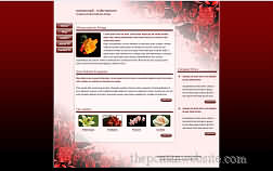 metamorph redornament template