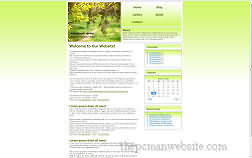 metamorph spring template