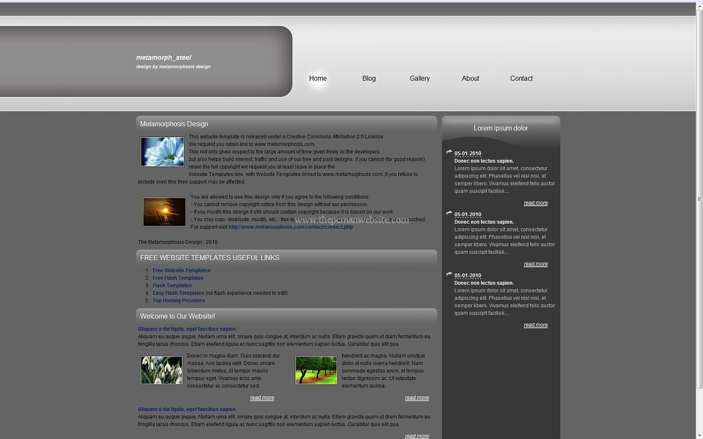 Metamorph Steel css template