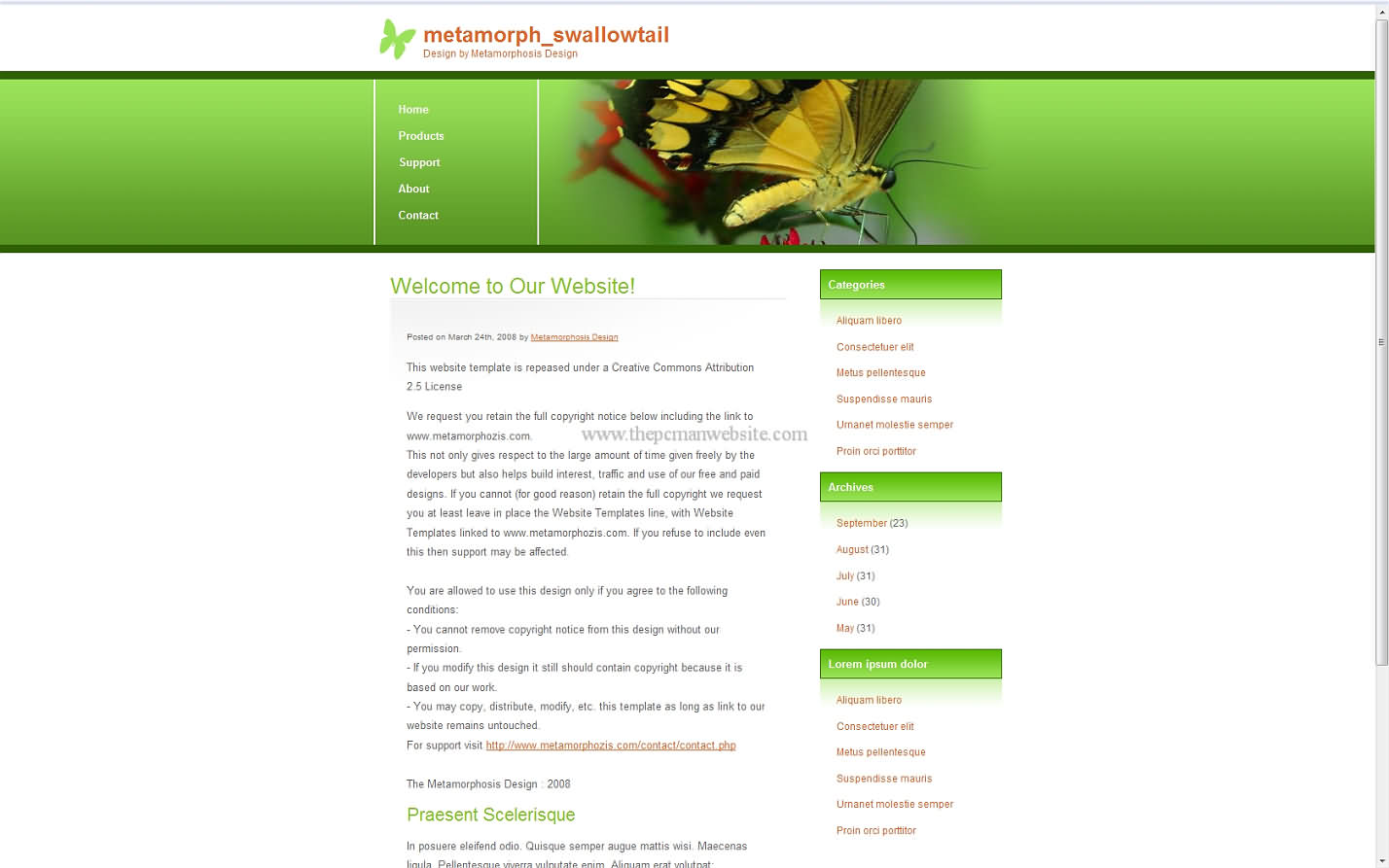 Metamorph Swallowtail css template