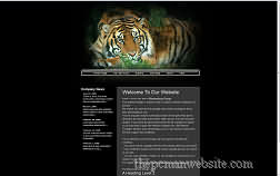 metamorph tiger template