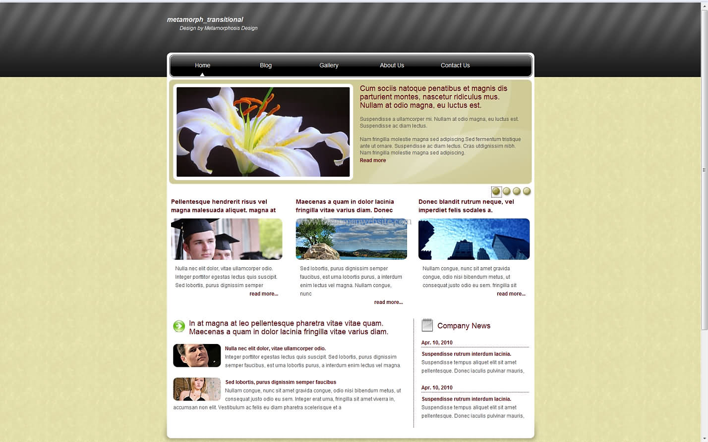 Metamorph Transitional css template