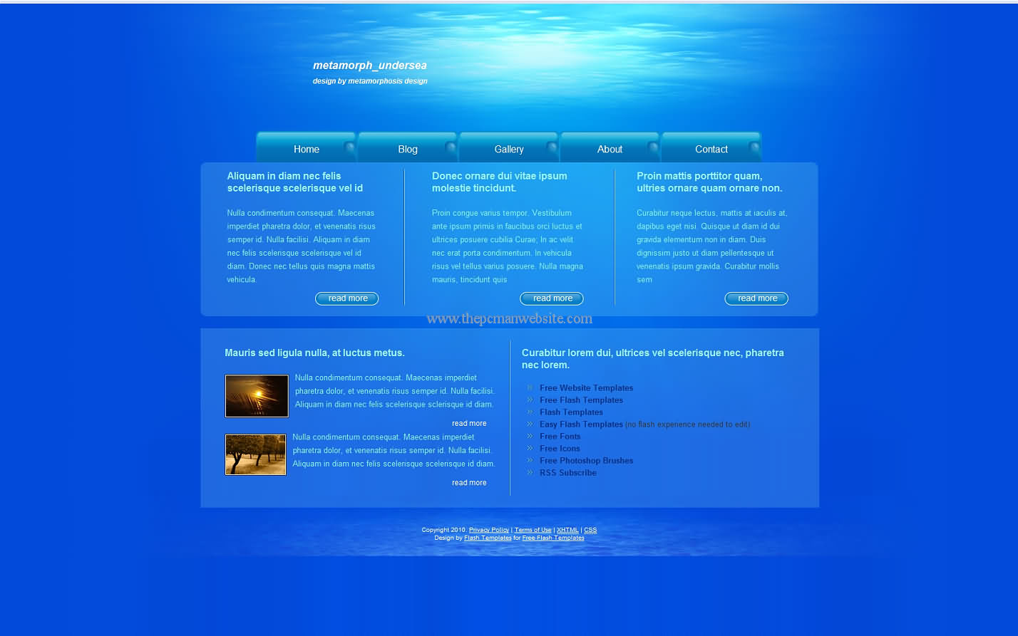 Metamorph Undersea css template