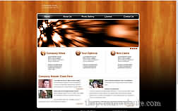 metamorph woodbg template