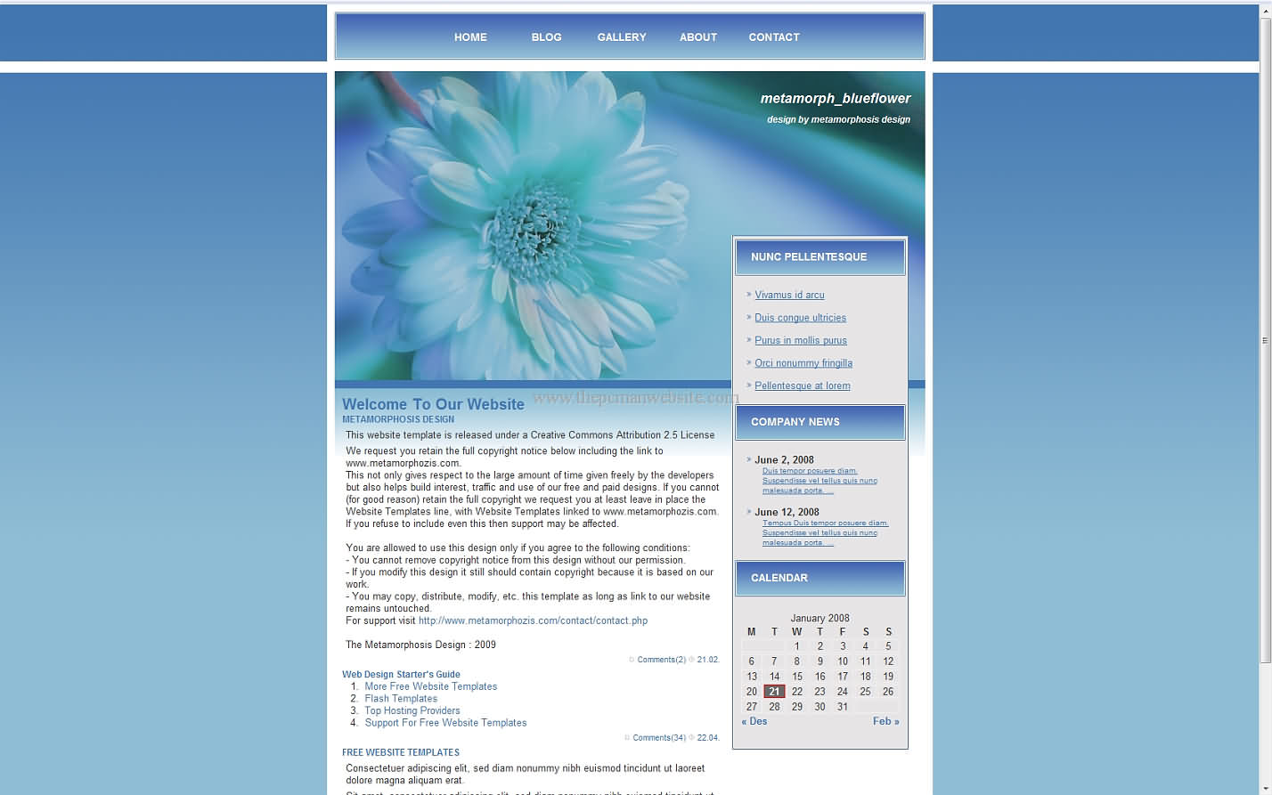 Metamorph Blueflower wordpress template
